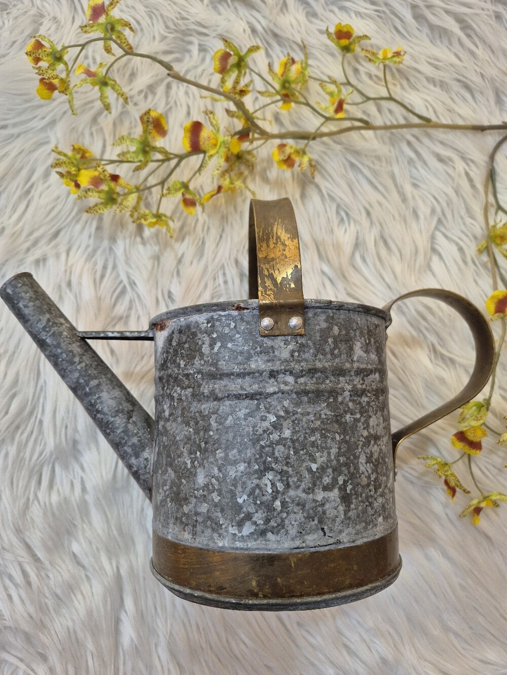 Copper Arts. Rustic Galvanized Metal Watering Can with Brass Accents - Gray